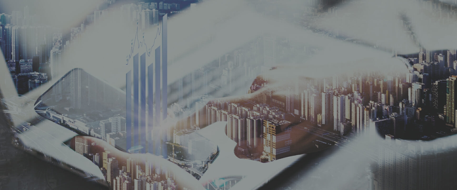 Asset Purchases & Sales